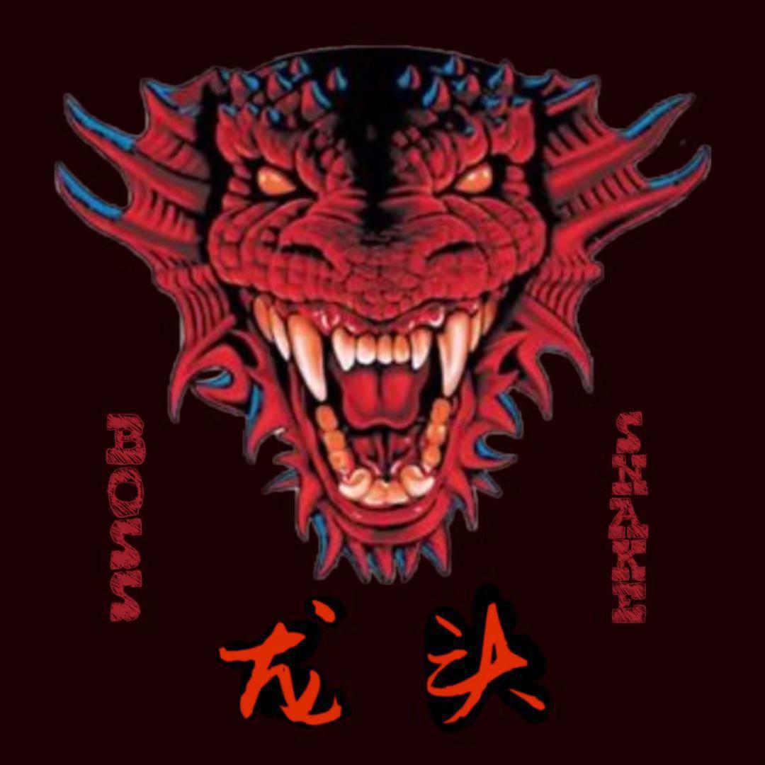 龍頭章節(jié)更新，深度觀點(diǎn)闡述與最新內(nèi)容揭秘