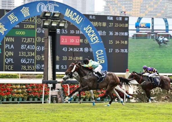 2024澳門特馬今晚開,專業(yè)解讀操行解決_高級版86.777