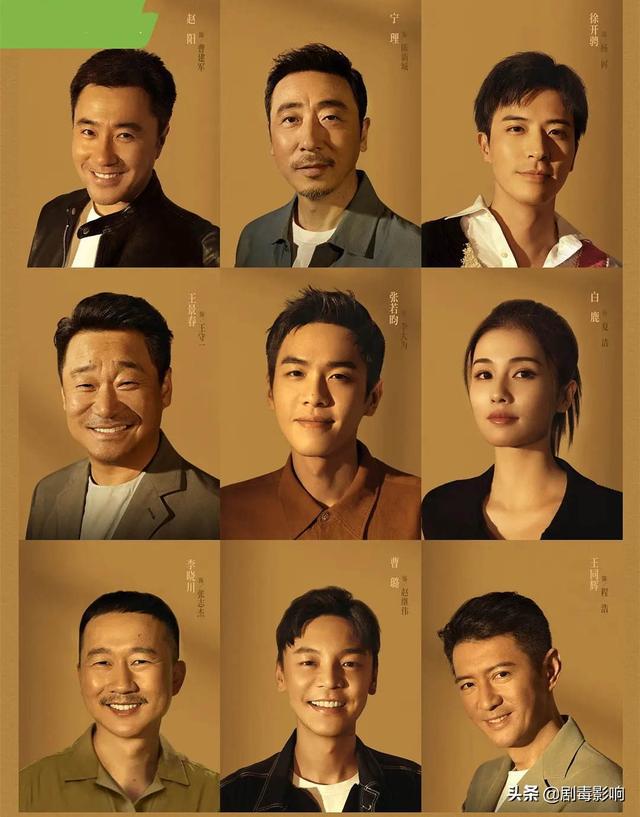 搭檔演員表深度解析，角色與演技的探究