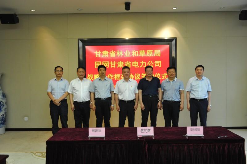 甘肅林業(yè)改革動態(tài)更新深度解析，最新進展與影響探究