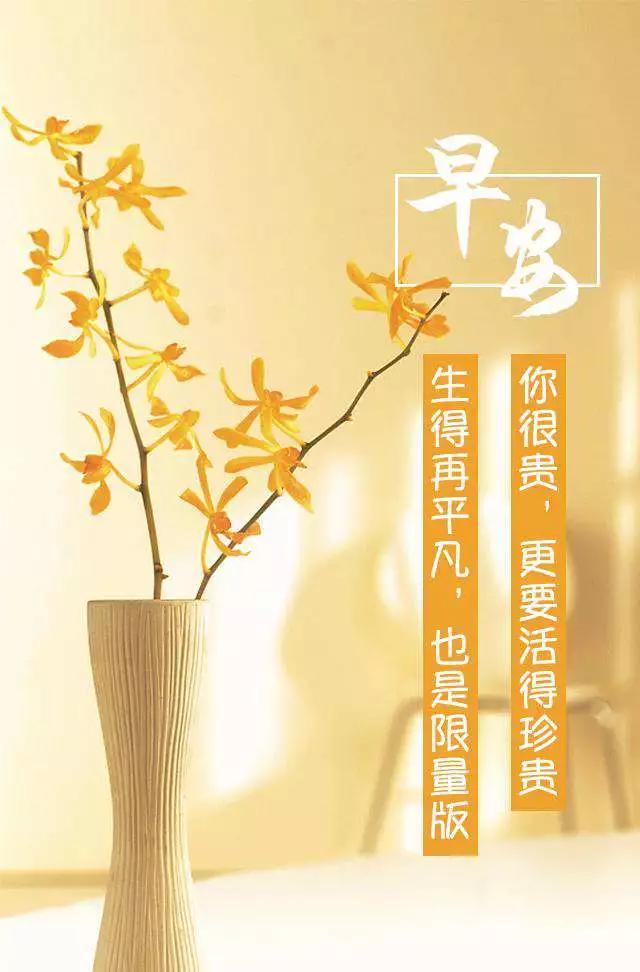 最新早晨心情分享,最新早晨心情分享，迎接美好的一天