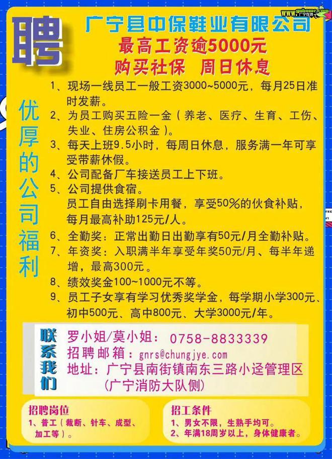 普寧流沙深處尋找特色小店司機(jī)，駕駛奇遇啟幕