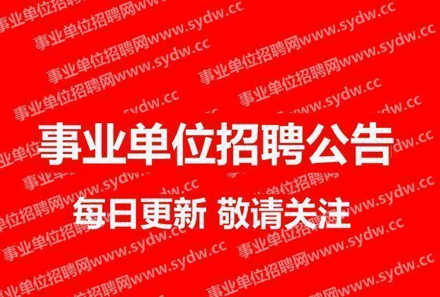 東戴河最新招工信息解析，影響與觀點闡述