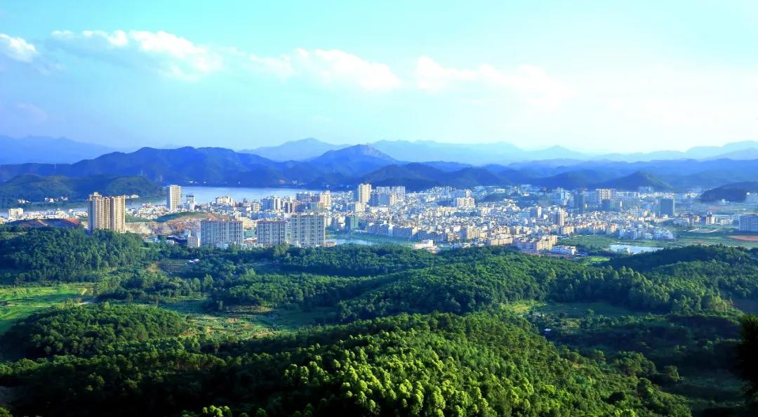 文德公園房價動態(tài)與市場趨勢解讀