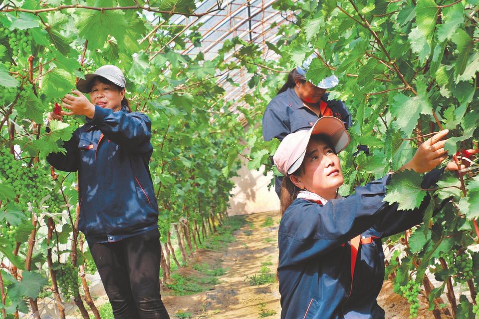 泥屯鎮(zhèn)最新動(dòng)態(tài)，探索自然美景，尋覓內(nèi)心平和之旅