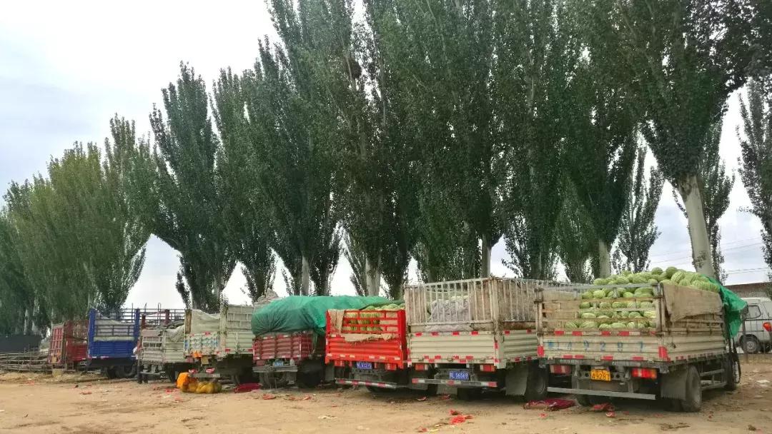 美凱龍上市，機(jī)遇與挑戰(zhàn)并存的時刻
