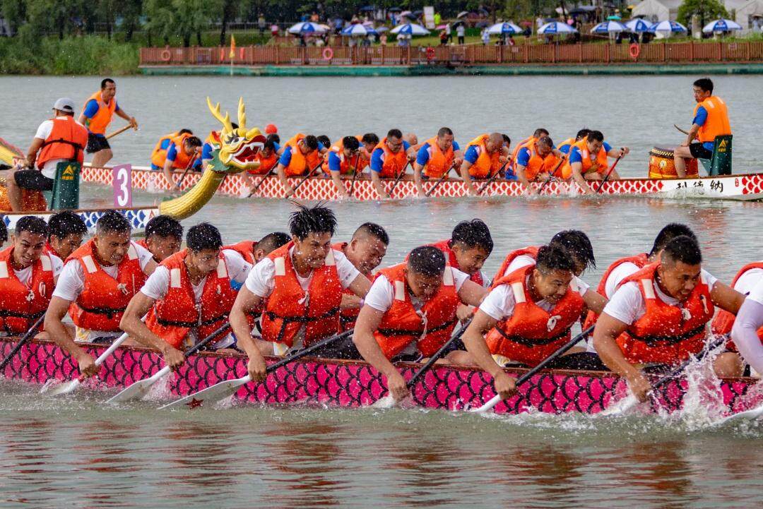 今年龍舟比賽全程回顧，觀看體驗(yàn)與參與指南