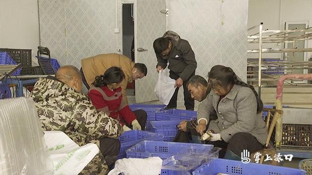 株洲上市公司一覽，跟隨自然美景探尋內(nèi)心綠洲之旅