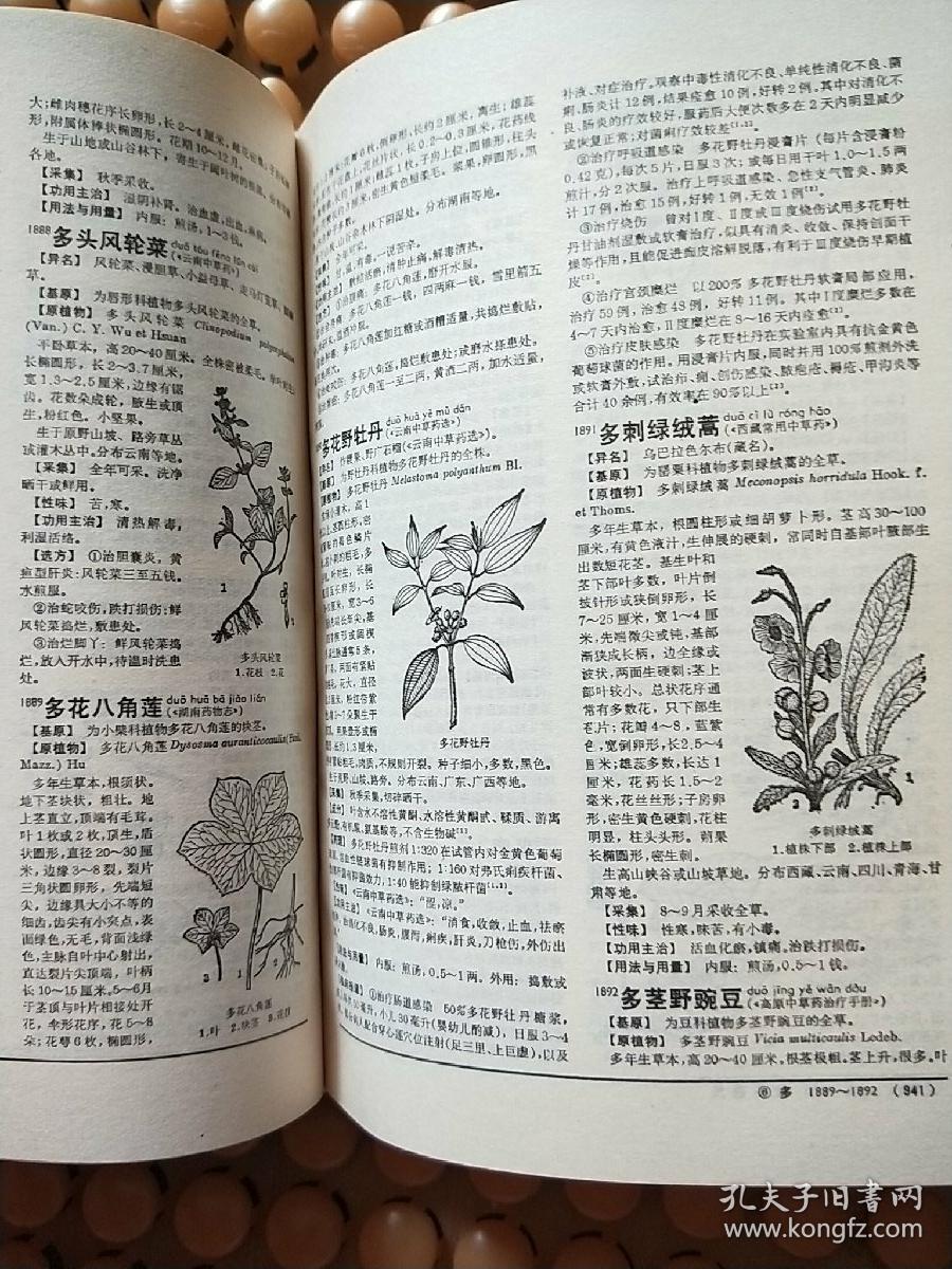 最新版中藥大詞典,最新版中藥大詞典的編纂及其價(jià)值探討
