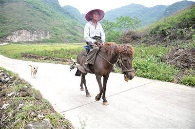 騎白馬的農(nóng)民最新資訊，深度分析與闡述的觀點解讀
