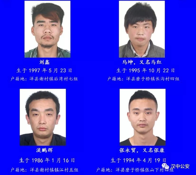 孝昌最新通緝公告,孝昌最新通緝公告，一起探索自然美景，尋找內(nèi)心的平和與寧靜