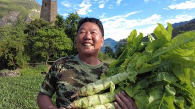 內(nèi)蒙古土豆價格行情詳解，如何獲取并分析土豆價格信息