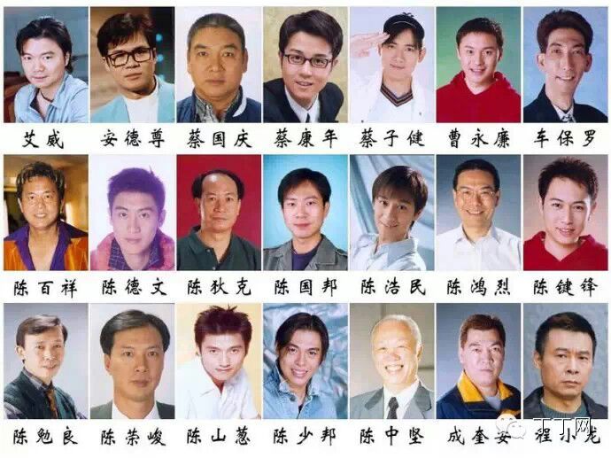 不夜城演員表，自然美景探尋之旅的星光陣容