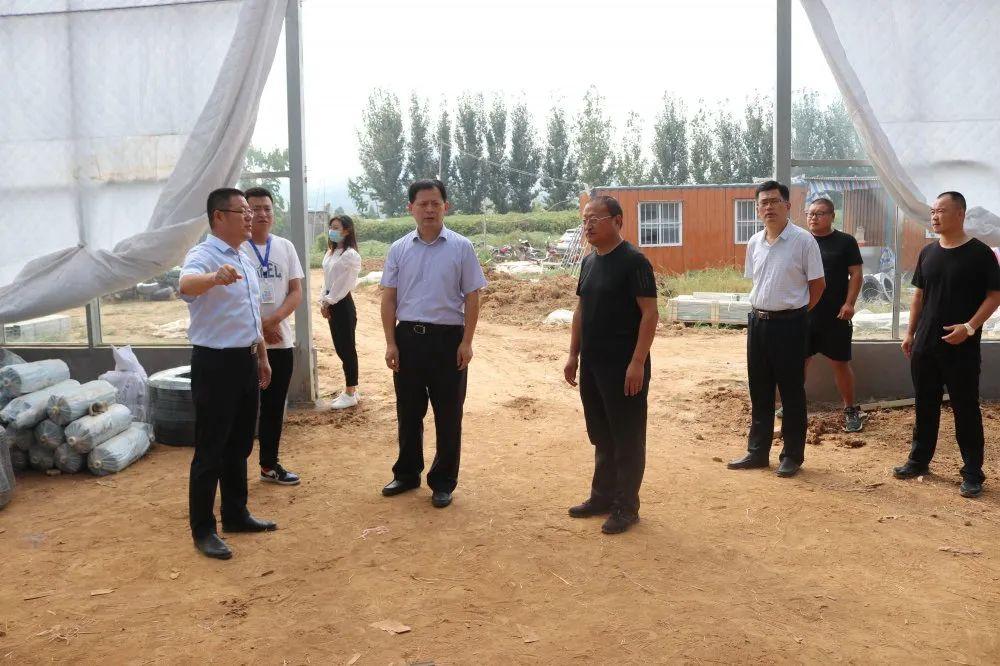 疫情防控旅游政策最新動(dòng)態(tài)