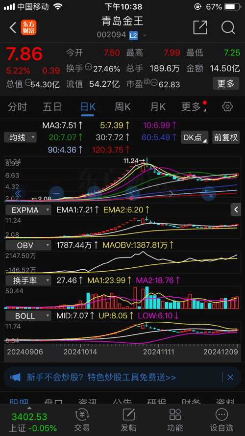 關(guān)于青島金王股票（股票代碼，002094）的深入探討
