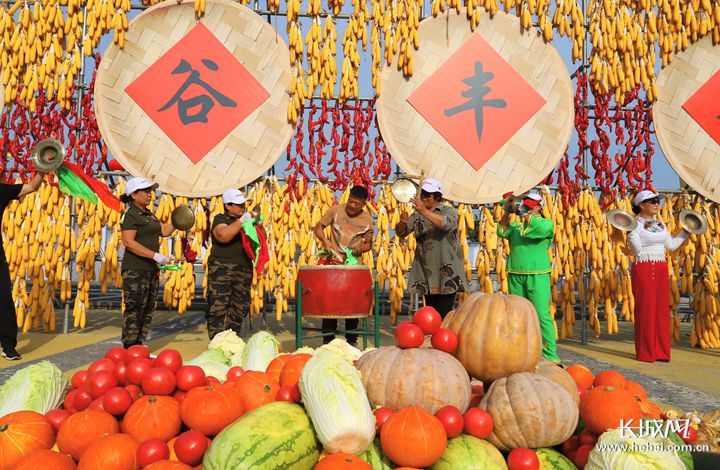 五谷豐收最新一期，農(nóng)業(yè)科技的豐收盛宴，展望豐收喜悅