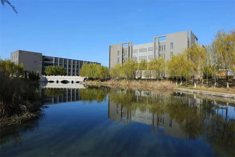 沈陽化工股票最新動態(tài)，股市故事與最新資訊