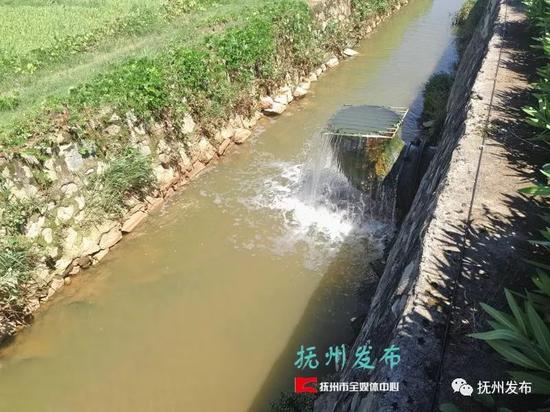 洪城水業(yè)最新動態(tài)揭秘，趣事紛呈與情感連結(jié)的水業(yè)之旅