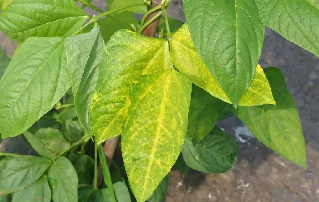 建筑裝修裝飾工程 第25頁