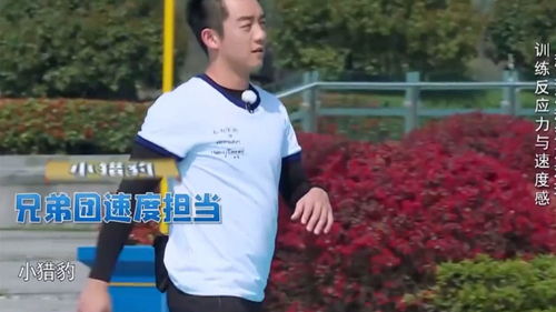 鄭愷跑步比賽視頻，速度與激情的展現(xiàn)