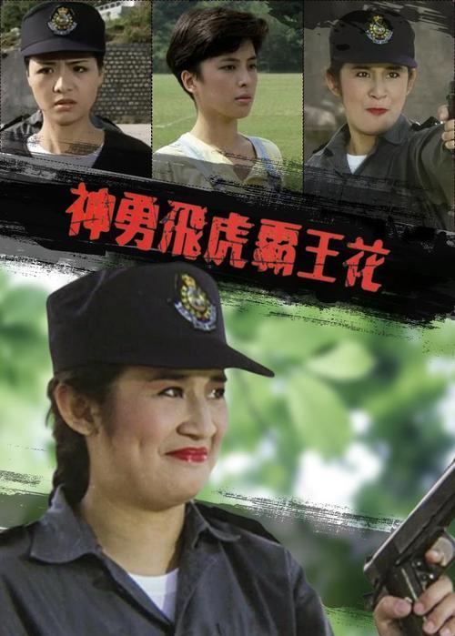 神勇飛虎霸王花演員表深度解析與觀點闡述
