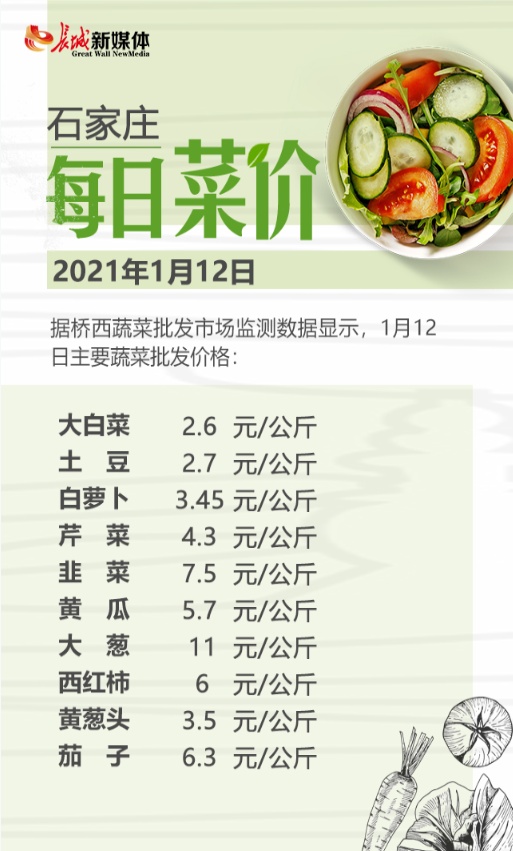 白菜最新價格行情，融入日常生活的溫馨波動