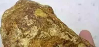 最新沙殼重塑生活，未來(lái)科技的魅力體驗(yàn)