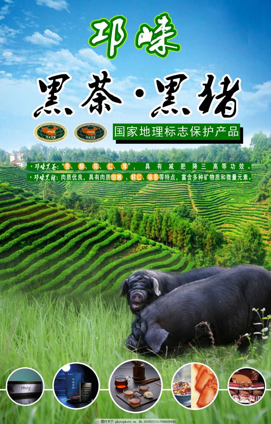 最新良種黑豬養(yǎng)殖指南，一步步教你成為專家