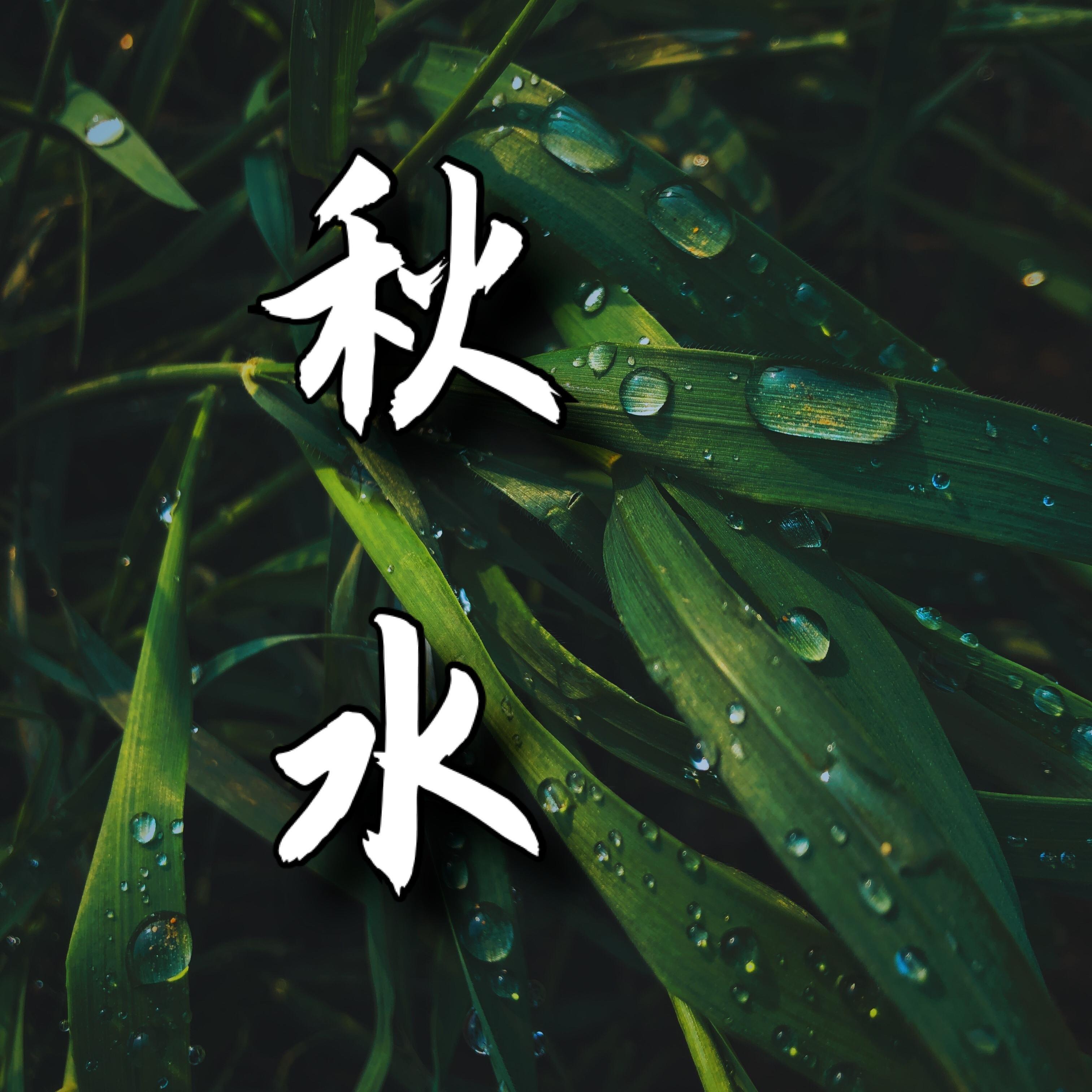 秋水最新音頻，一段溫馨有趣的日常故事賞析