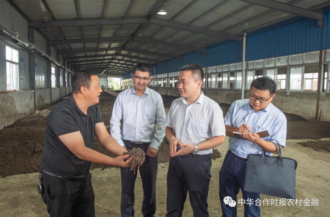 最新利率模式深度解析與觀點(diǎn)闡述