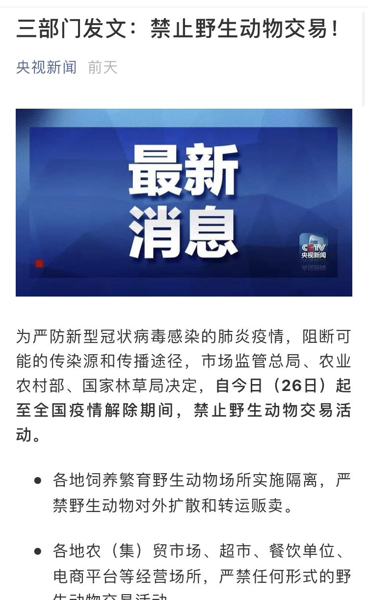 疫情下的學(xué)習(xí)變革，鑄就自信與成就的力量之路