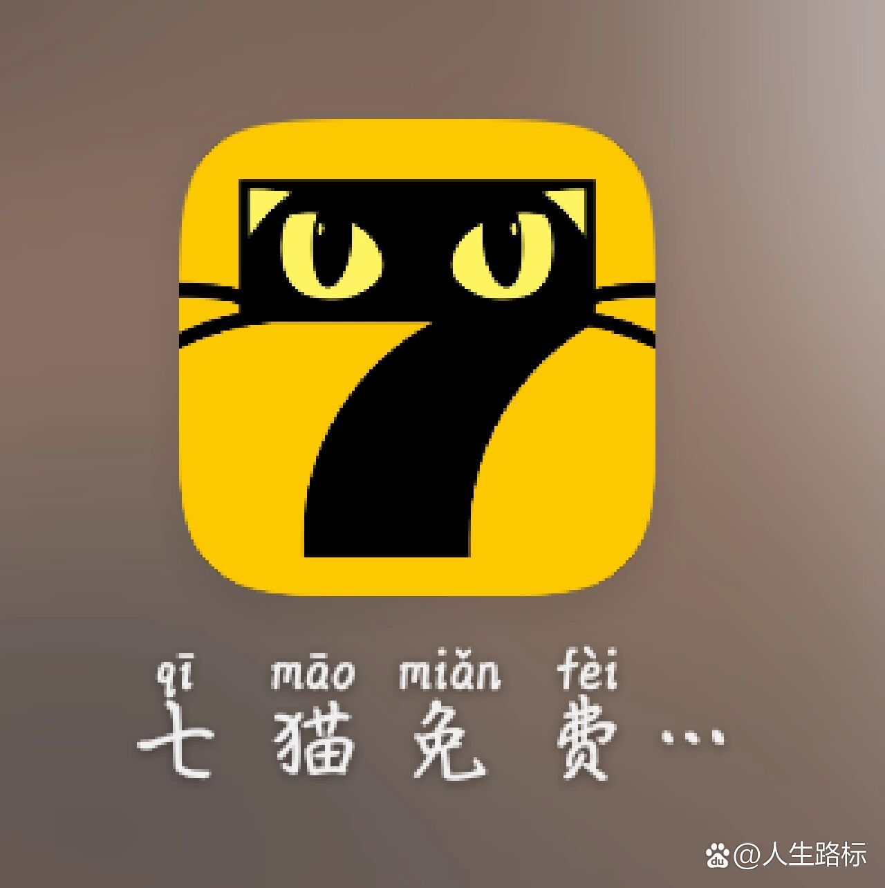 七貓最新，現(xiàn)代養(yǎng)貓新趨勢(shì)與知識(shí)探索