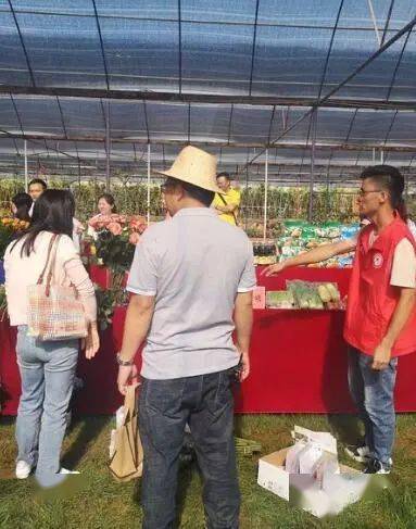 通海最新服務(wù)，溫馨日常故事啟程的起點
