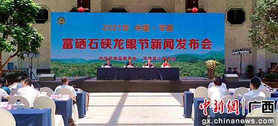 平南新聞回顧，探索平南最新動態(tài)與熱點(diǎn)事件