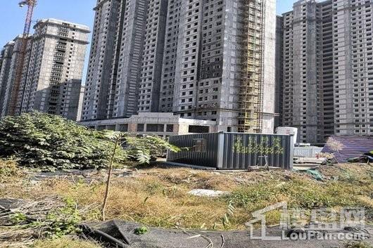 濟寧西雅圖最新動態(tài)更新????（最新消息匯總）