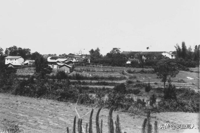 河源紫金古竹最新動態(tài)，探索與體驗(yàn)新發(fā)現(xiàn)